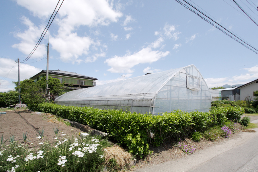 アーチ型ビニールハウス
