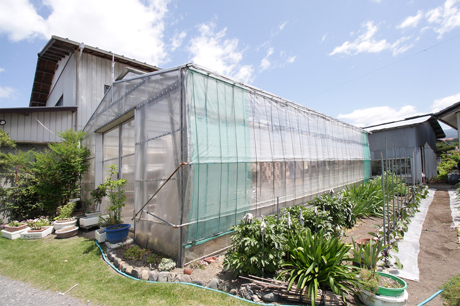 屋根型ビニールハウス