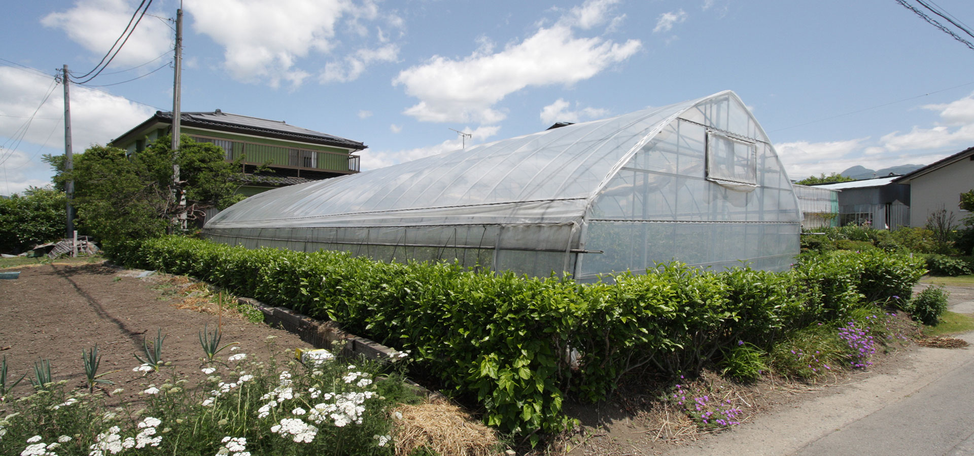 ビニールハウス/温室の建設、修繕なら群馬県の永井グリーンハウス